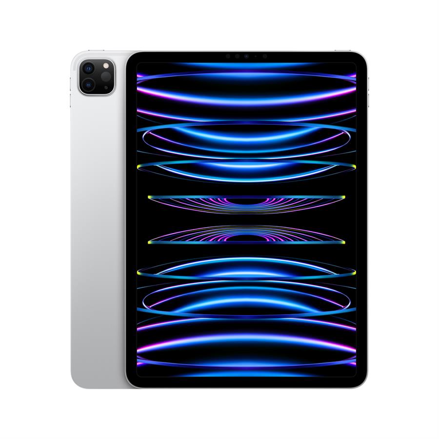 iPad Pro 11'' 256GB